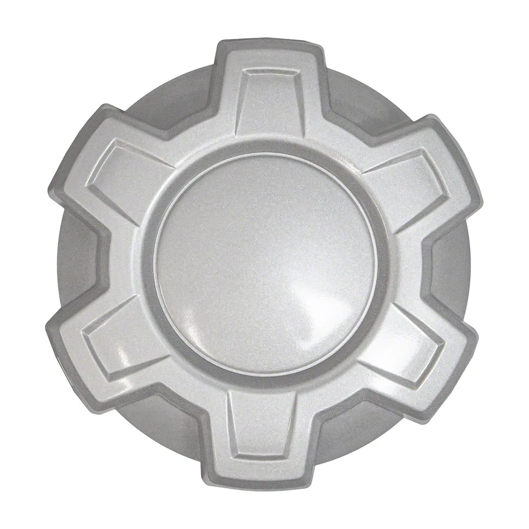 IWCC8130S – COAST2COAST Wheel Center Cap, Silver ABS Plastic Set Of 4